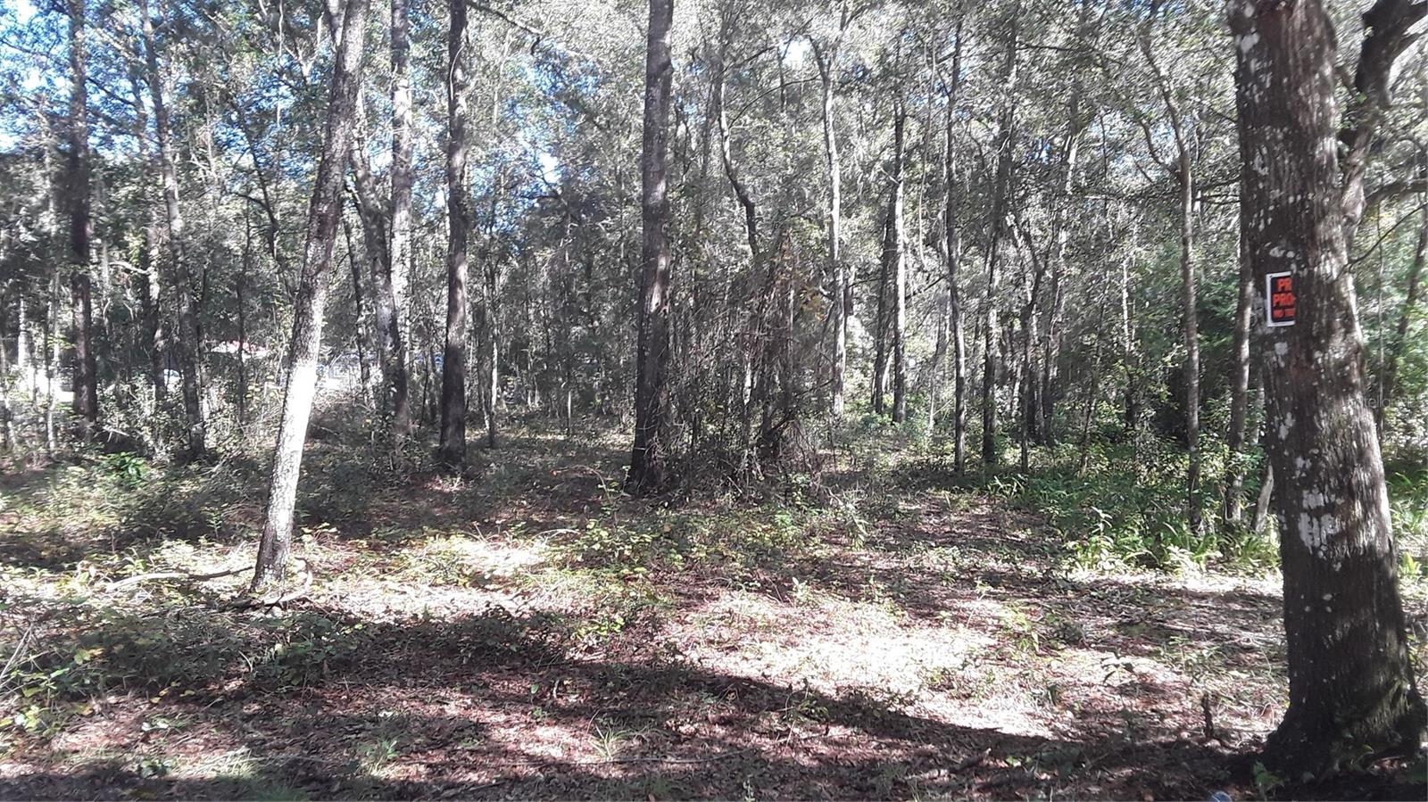 Photo of SW 202 AVENUE DUNNELLON FL 34431