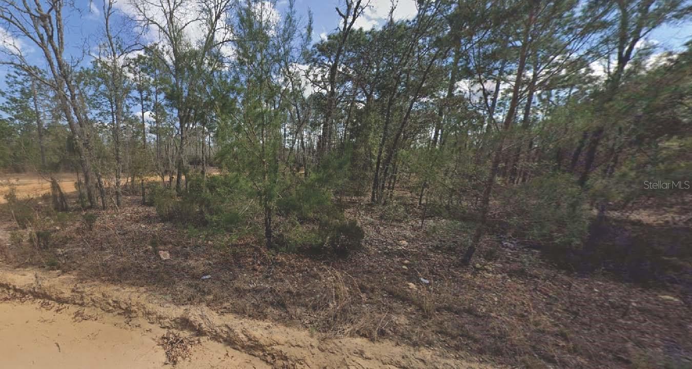 Photo of 133 LAKE LUCY COURT INTERLACHEN FL 32148