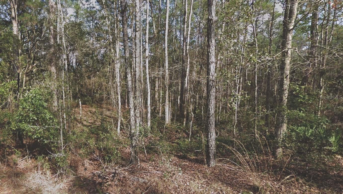 Photo of 130 SE 5TH STREET PALATKA FL 32177
