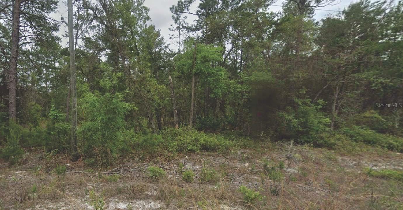 Photo of 120 NEW YORK AVENUE SATSUMA FL 32189