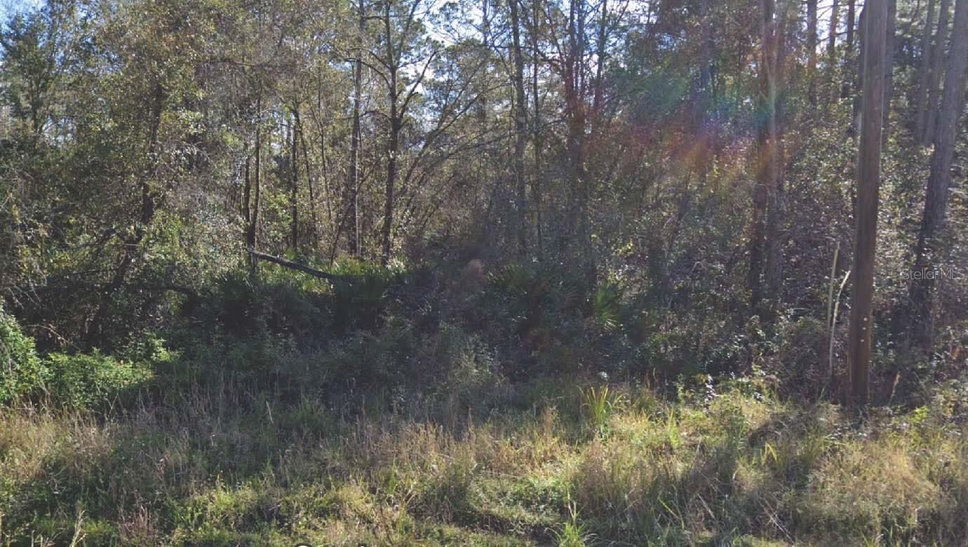 Photo of 104 DONALD R BOULEVARD PALATKA FL 32177