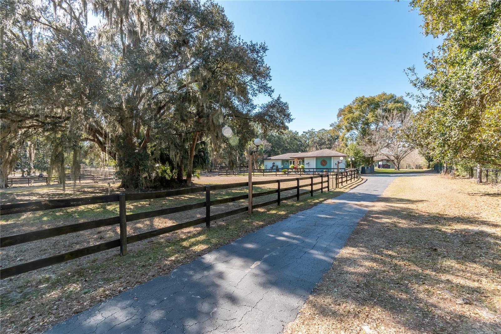 Photo of 26 WOOD RIDGE DRIVE OCALA FL 34482