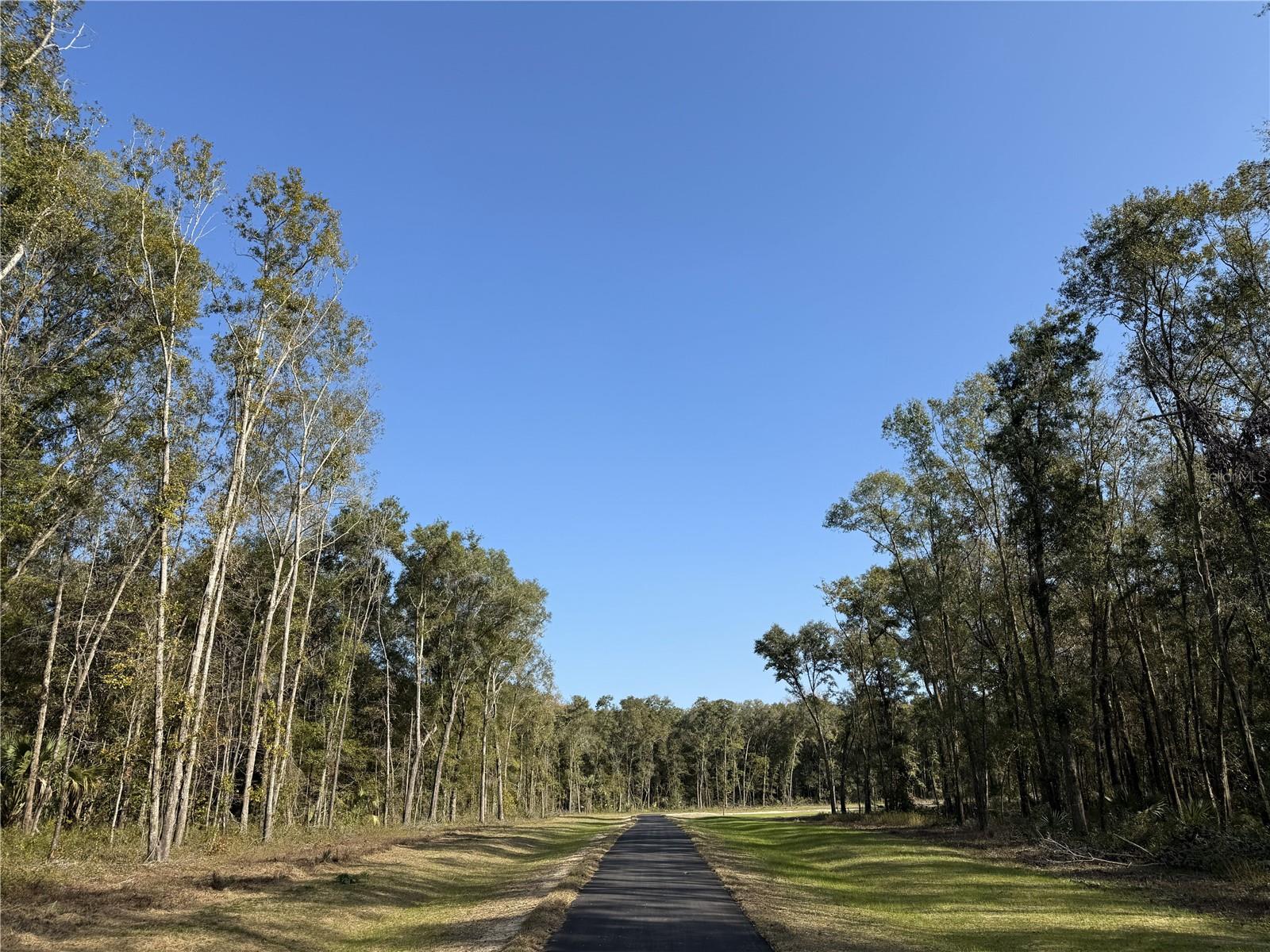 Photo of Irvine Acres #3 (10ac) W HWY 318 REDDICK FL 32686