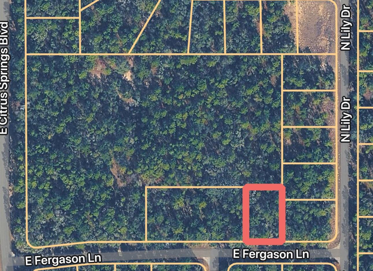 Photo of 1409 E FERGASON LANE DUNNELLON FL 34434