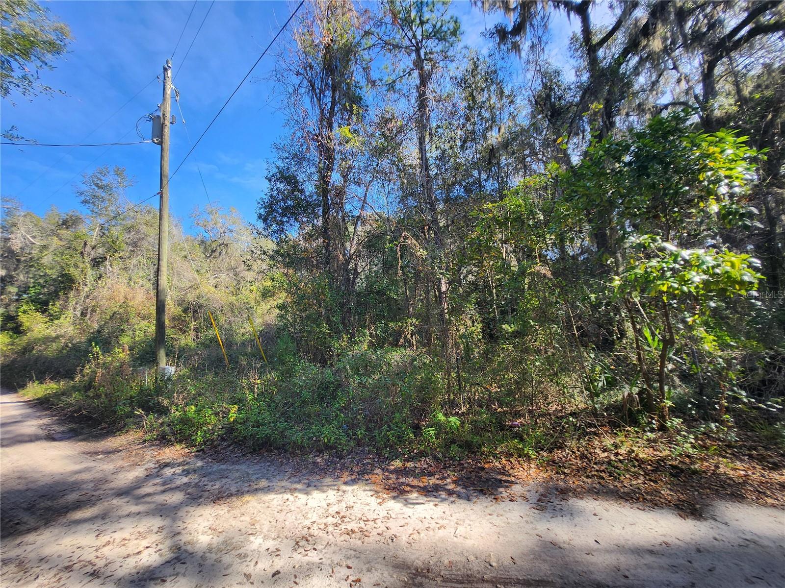 Photo of TBD NE 164TH PLACE CITRA FL 32113