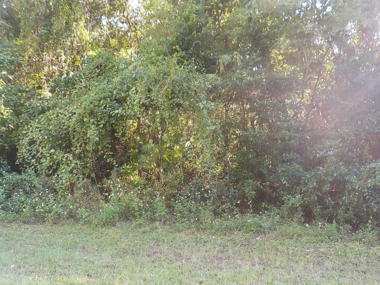 Photo of 11641 N KENLAKE CIRCLE DUNNELLON FL 34434