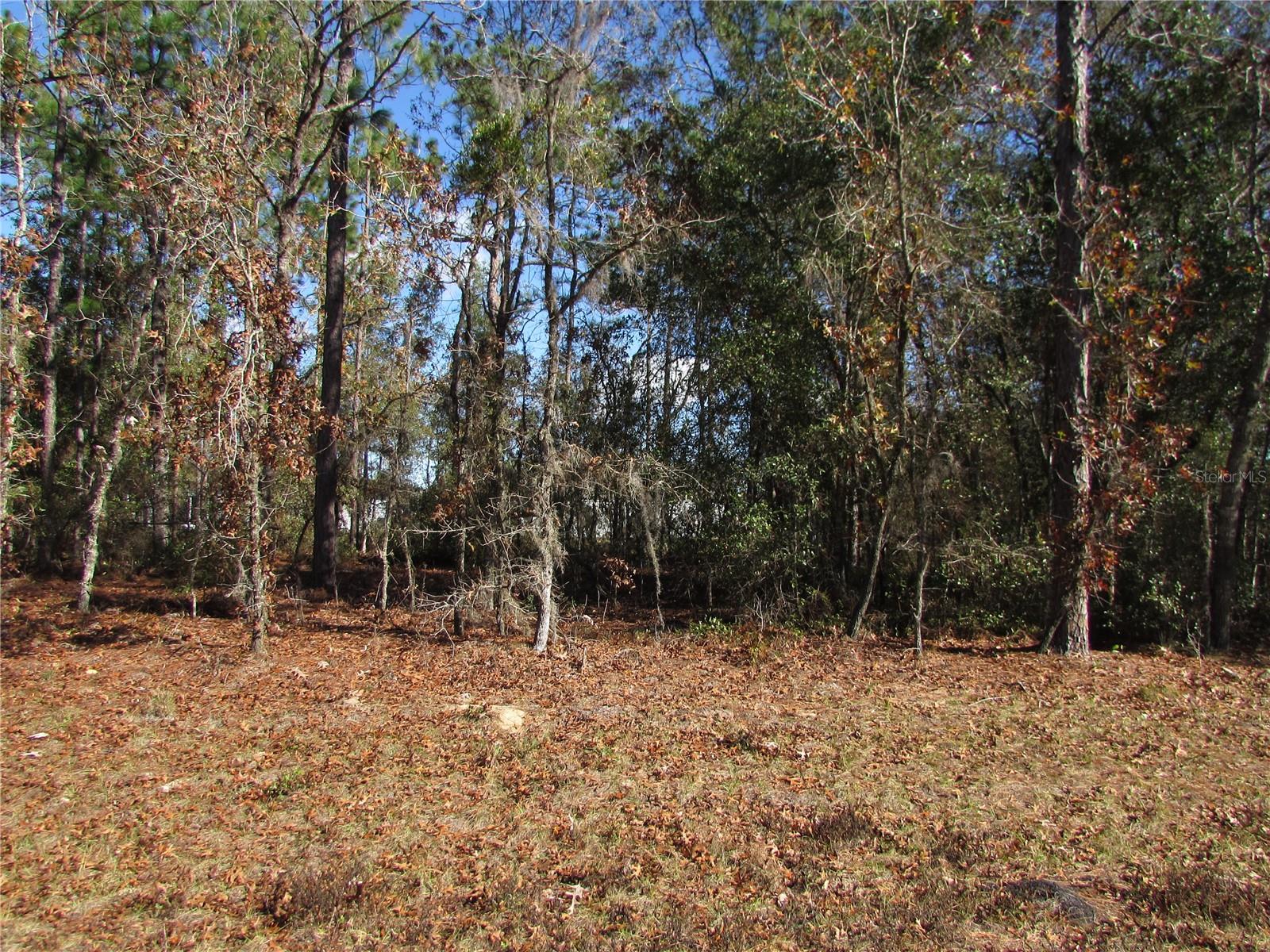 Photo of Lot 18 SW 156 STREET OCALA FL 34473