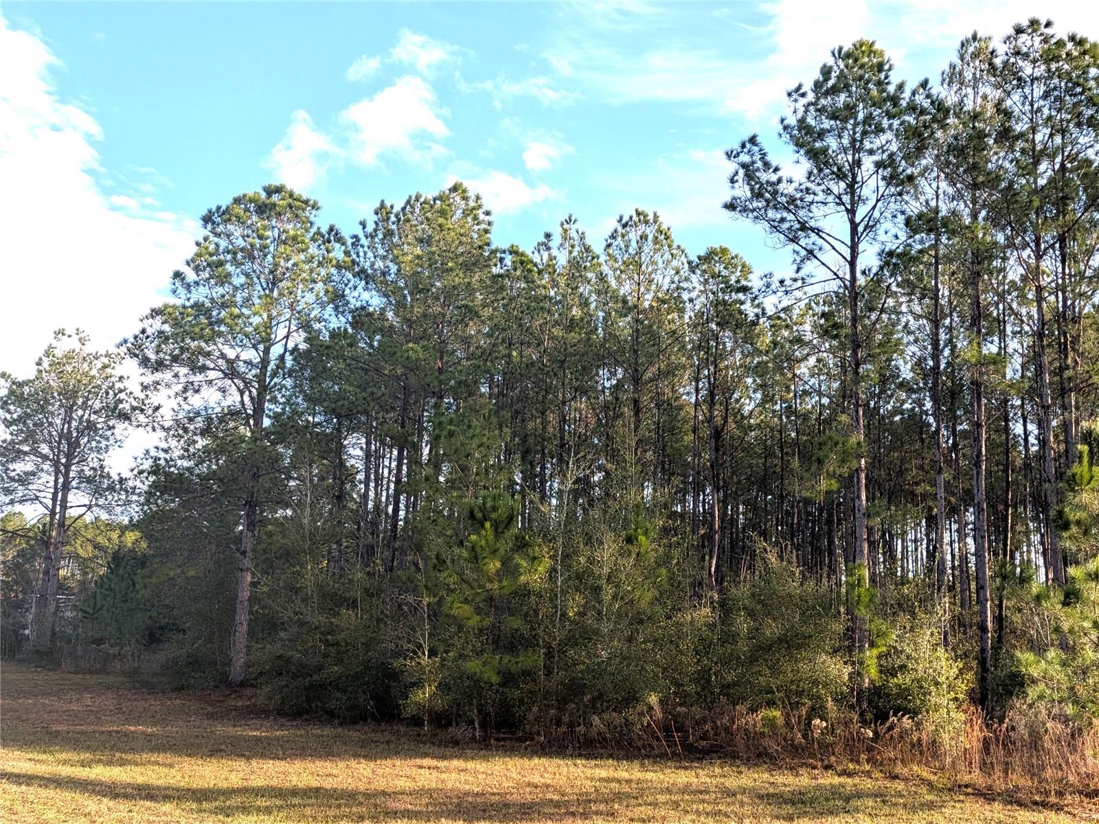 Photo of 143 S KENSINGTON AVENUE LECANTO FL 34461