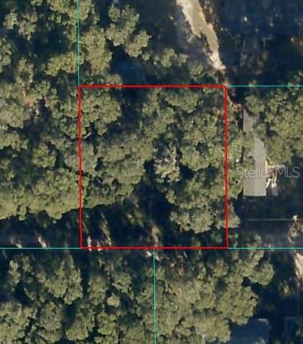 Photo of 00 NE 160TH LANE CITRA FL 32113