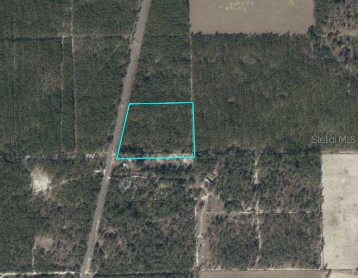 Photo of N US-129 BELL FL 32619