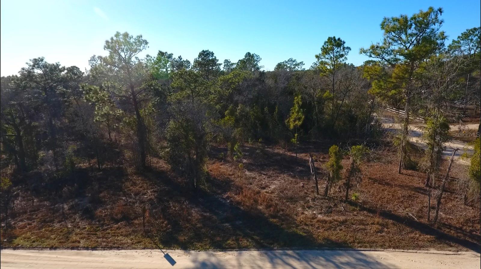 Photo of 2150 SE 137TH COURT MORRISTON FL 32668