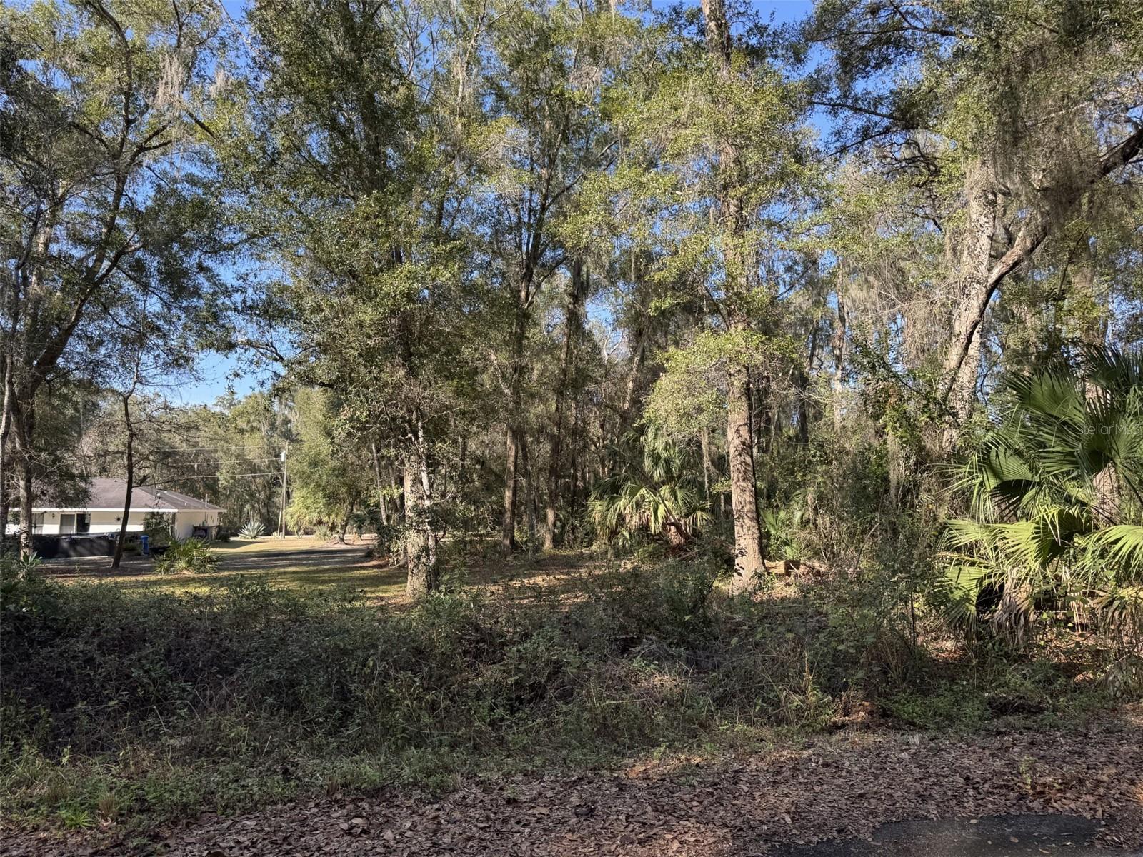 Photo of SEQUOIA LOOP TRACK OCKLAWAHA FL 32179