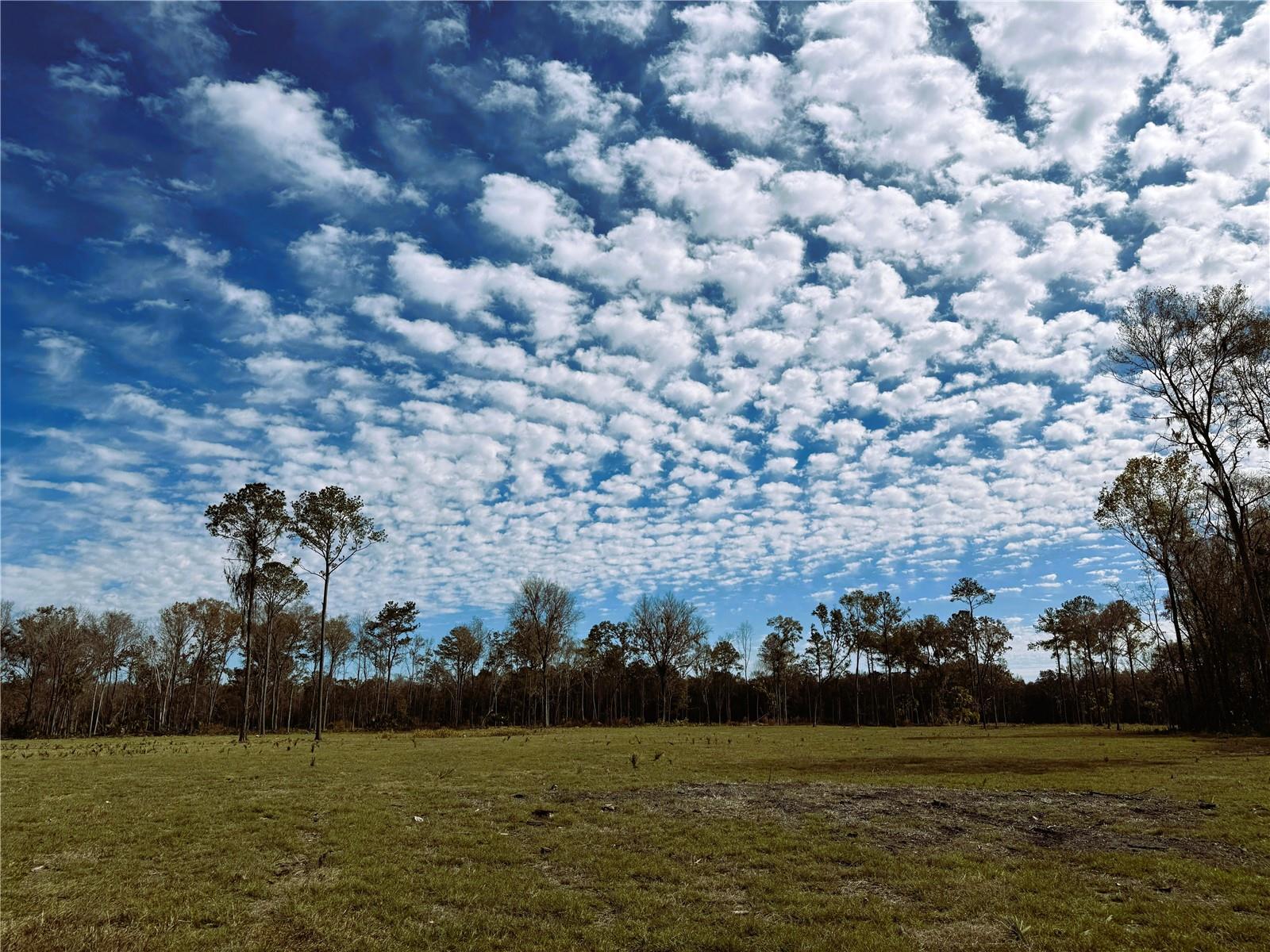 Photo of DR #3 (10ac) NW 193RD ST MICANOPY FL 32667