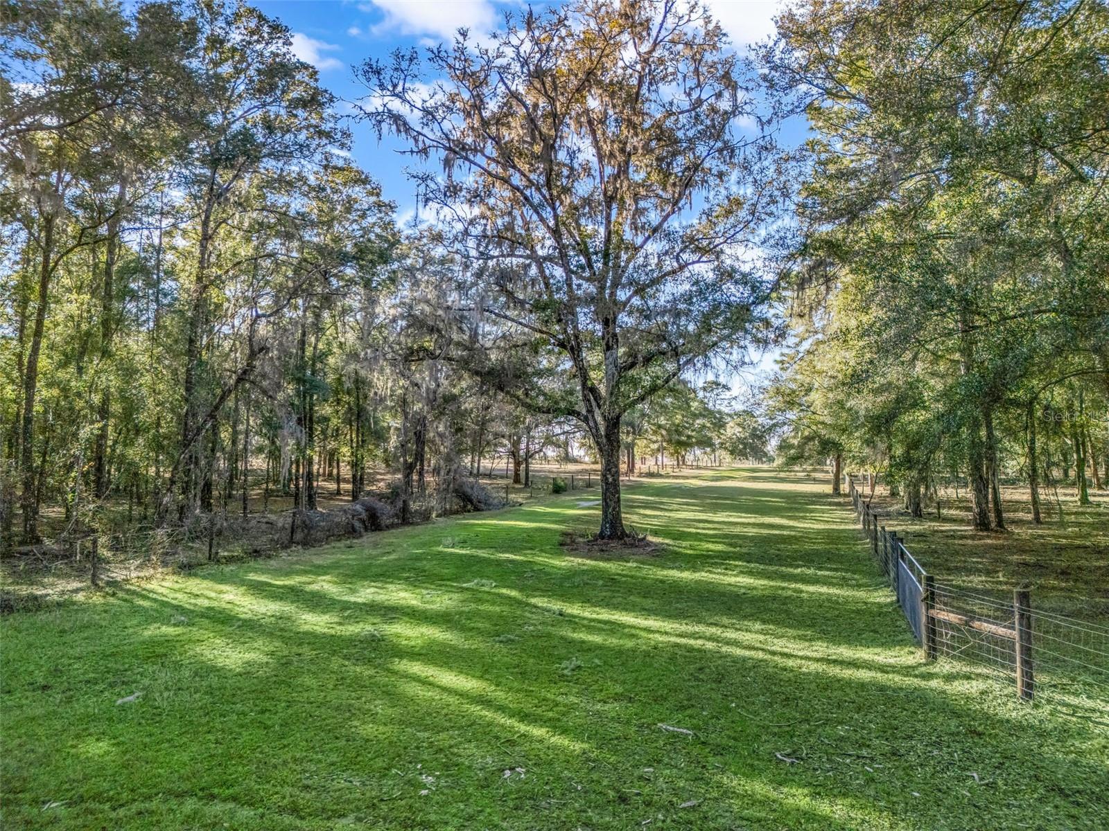 Photo of 0 SE 165TH AVENUE WILLISTON FL 32696