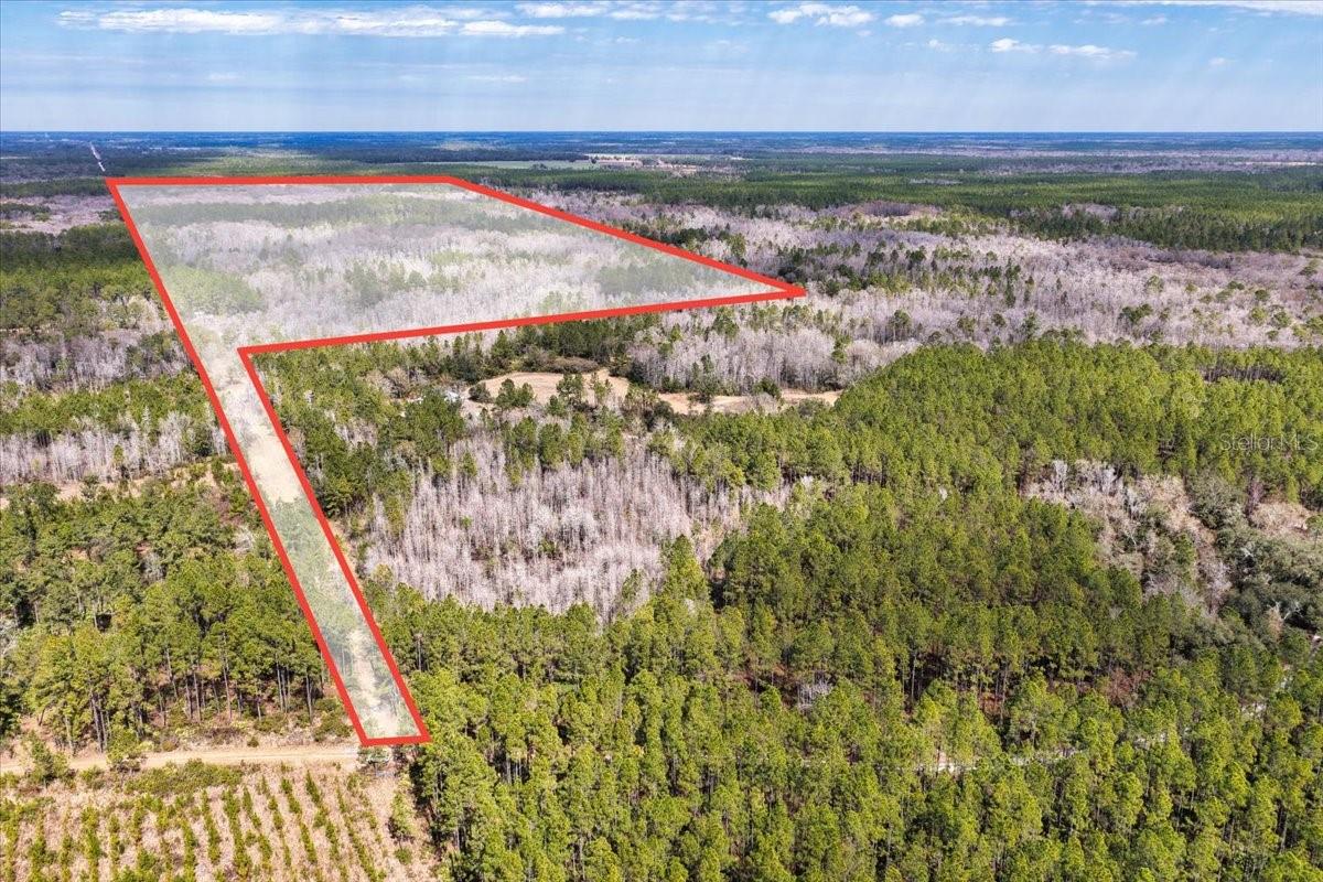 Photo of 60 Acres NW CLYATT ROAD CHIEFLAND FL 32626