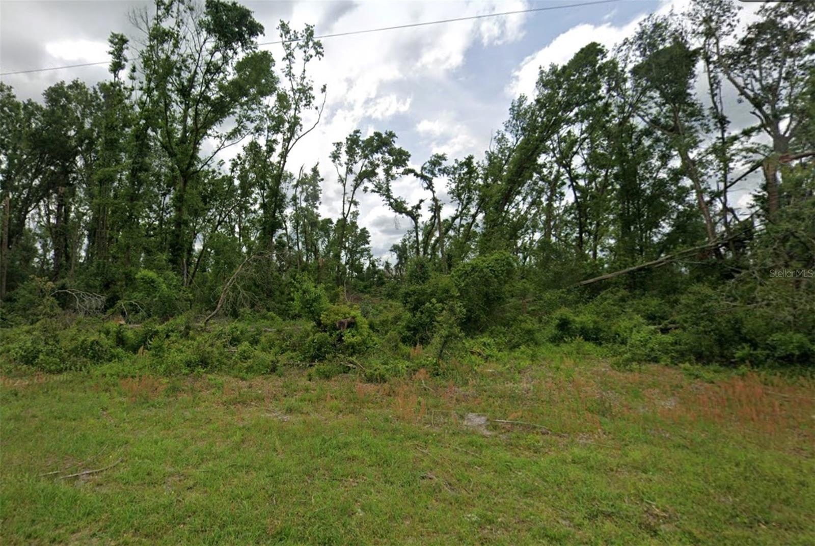 Photo of 00 SW DOE ROAD MAYO FL 32066
