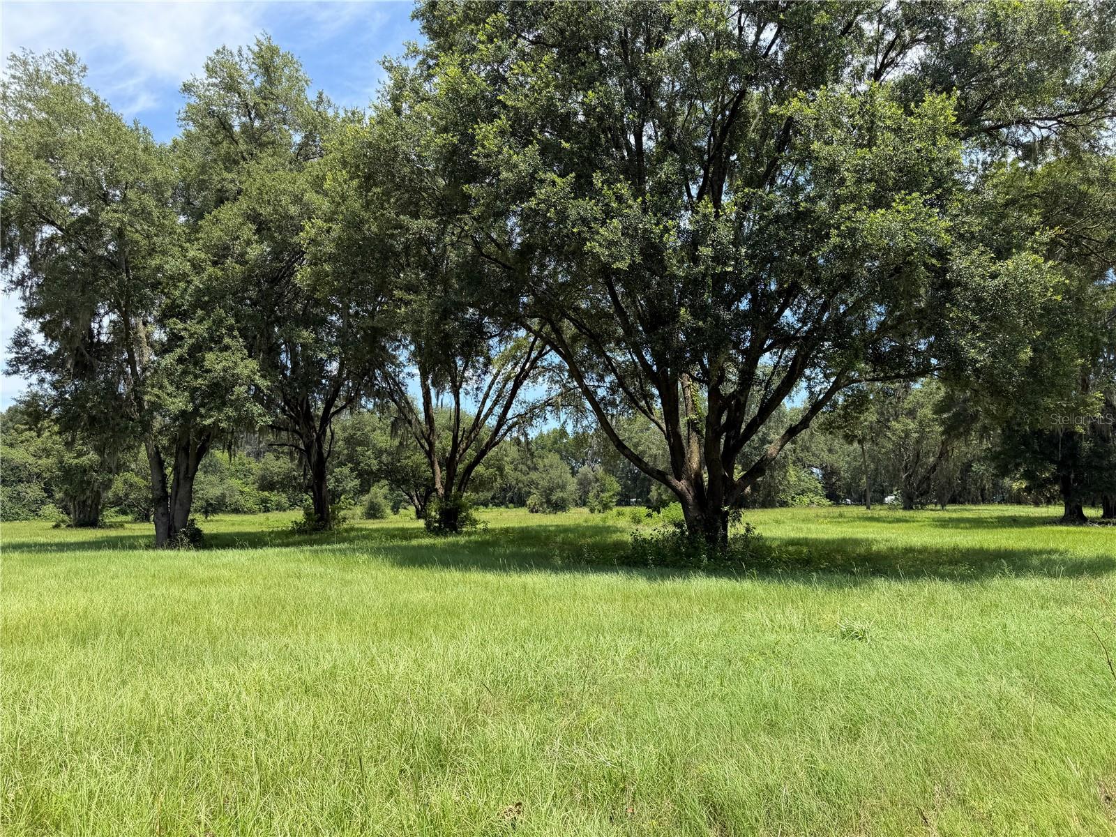 Photo of TBD NW 329 REDDICK FL 32686