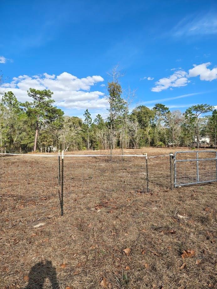 Photo of 13105 SW 91ST PLACE DUNNELLON FL 34432