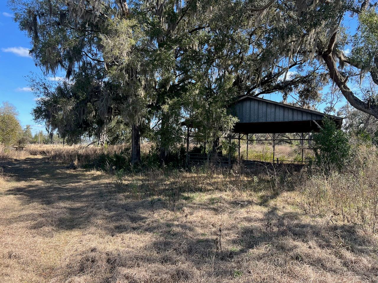 Photo of 2351 NE HIGHWAY 41 WILLISTON FL 32696