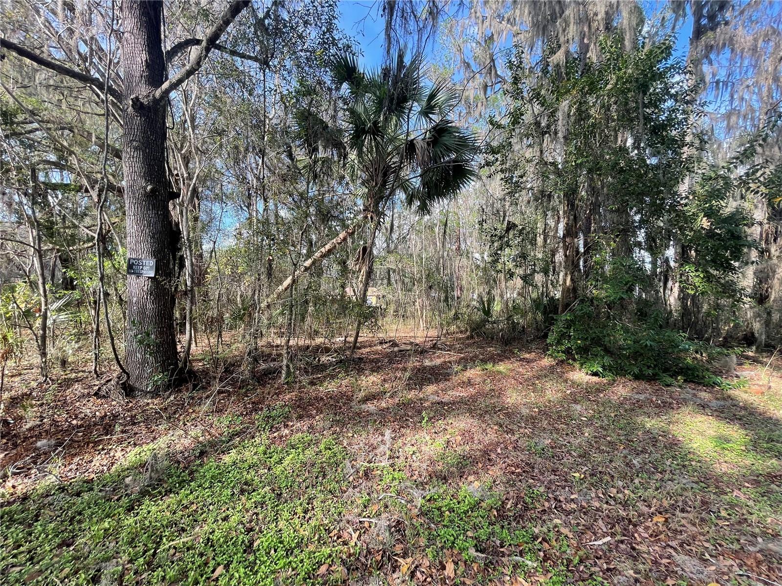 Photo of TBD SE 40TH LOOP OCALA FL 34480