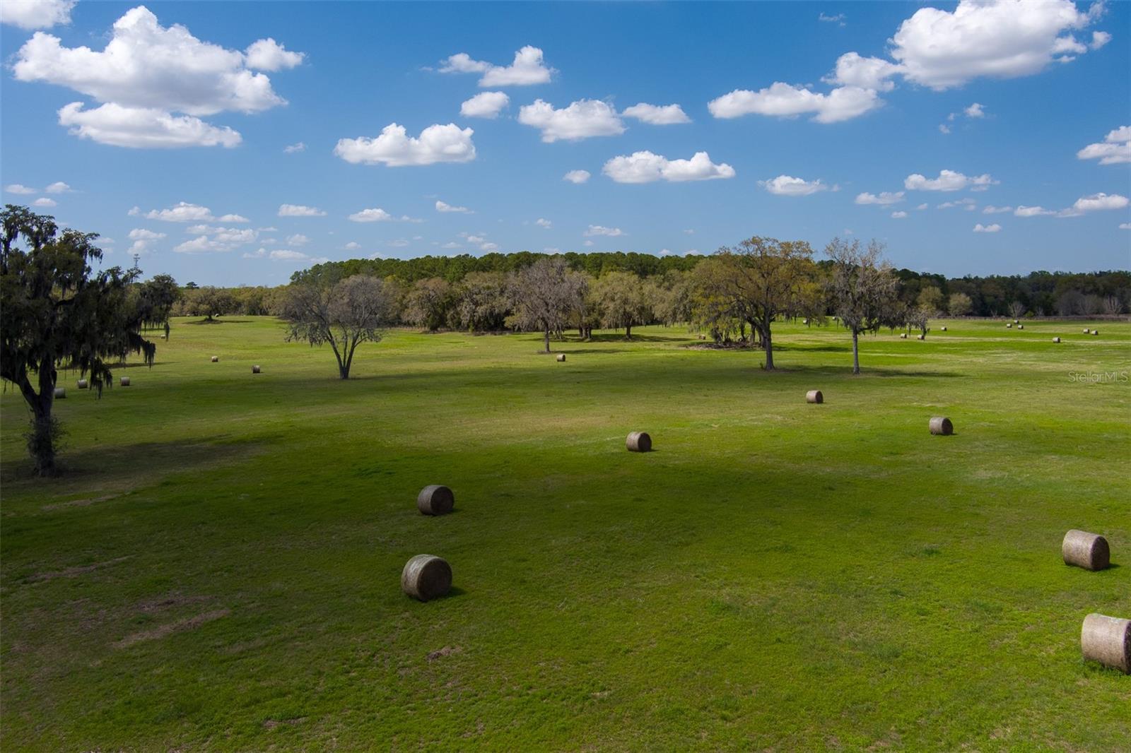 Photo of 1100 SW 110TH AVENUE OCALA FL 34481