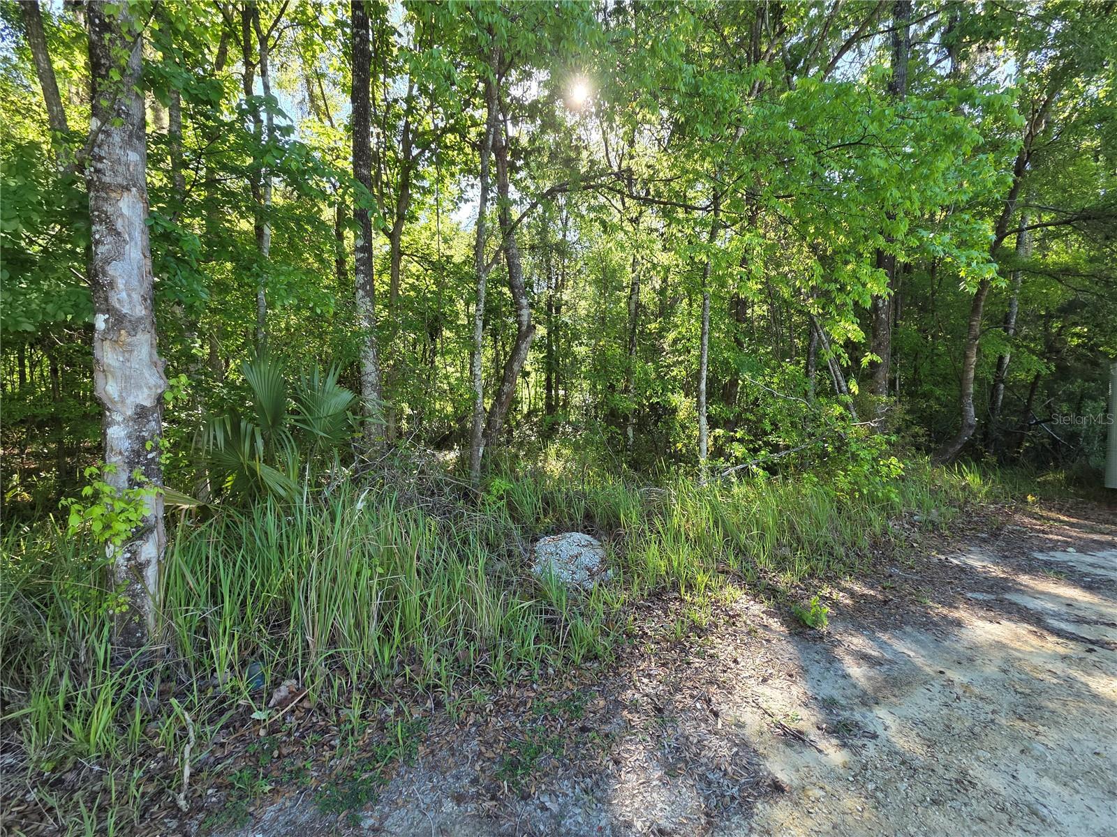 Photo of 0000 SE 42ND COURT BELLEVIEW FL 34420