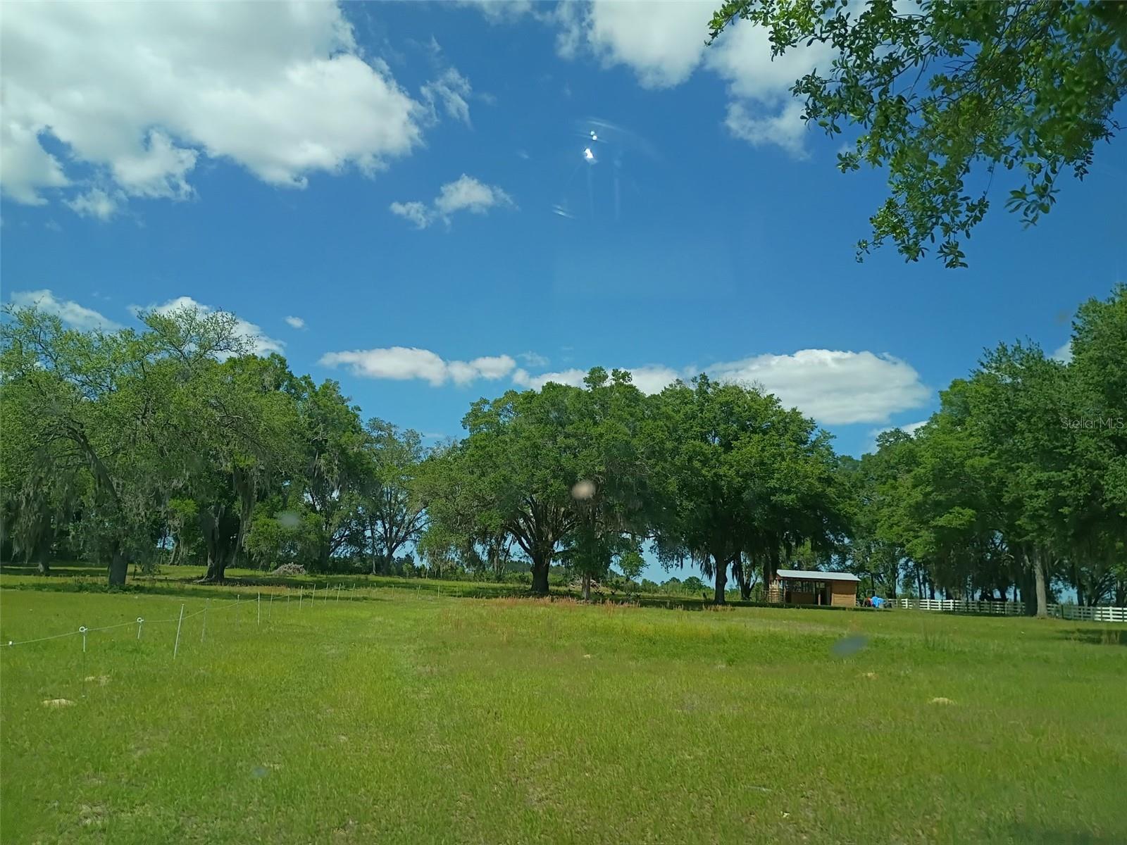 Photo of Lot #7 SE 66TH PLACE MORRISTON FL 32668