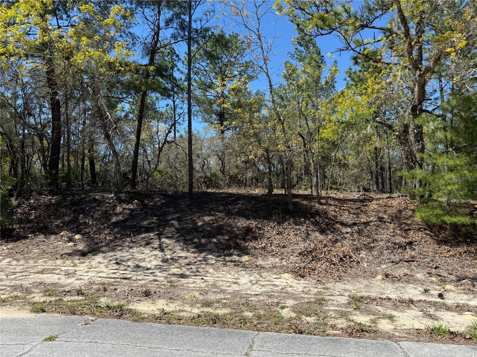 Photo of 10776 N MORENO DRIVE DUNNELLON FL 34433