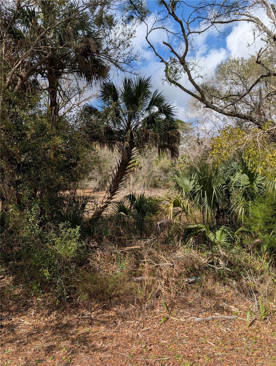 Photo of LORIE STREET INGLIS FL 34449