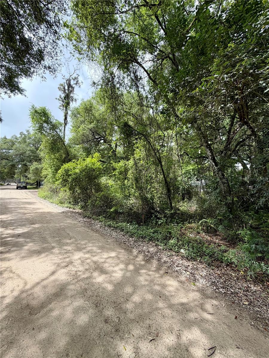 Photo of TBD NE 130 PLACE SALT SPRINGS FL 32134