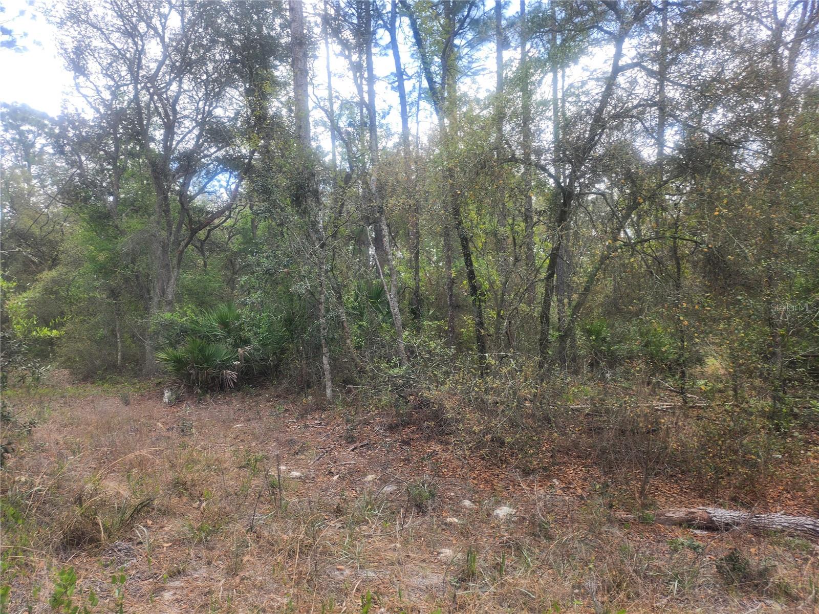 Photo of 7446 SW 151ST PLACE DUNNELLON FL 34432