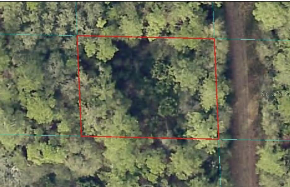 Photo of 00 NE 66TH COURT CITRA FL 32113