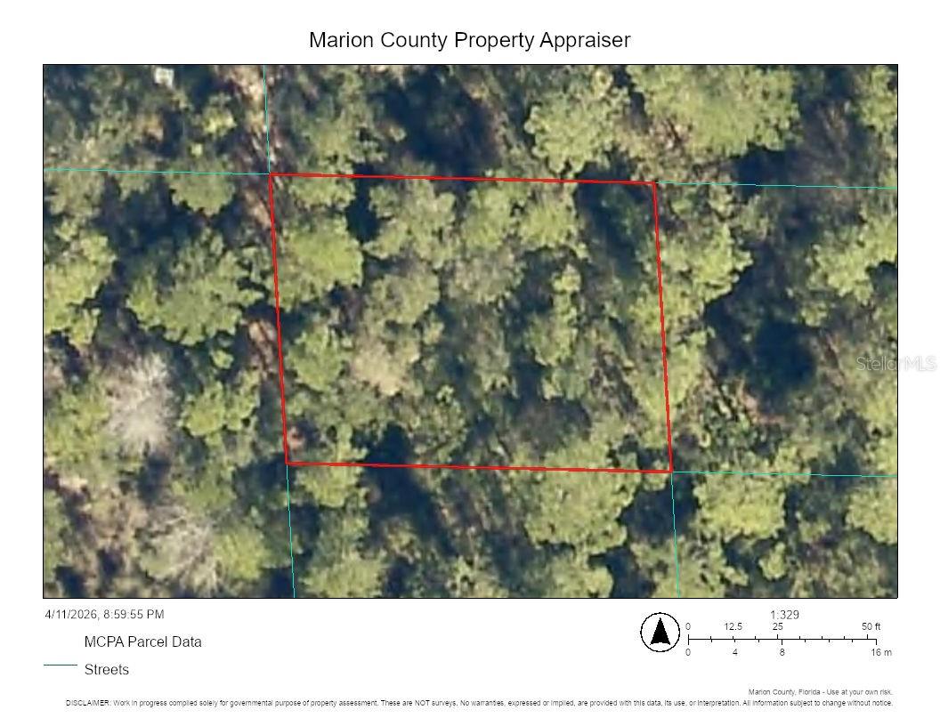 Photo of 00 NE 69TH AVENUE CITRA FL 32113