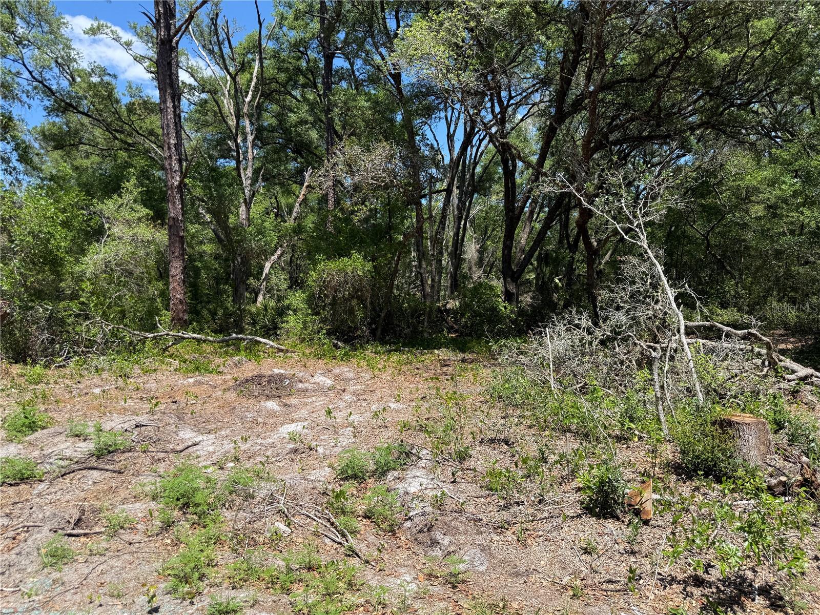 Photo of FISCHER LANE COURT OCKLAWAHA FL 32179