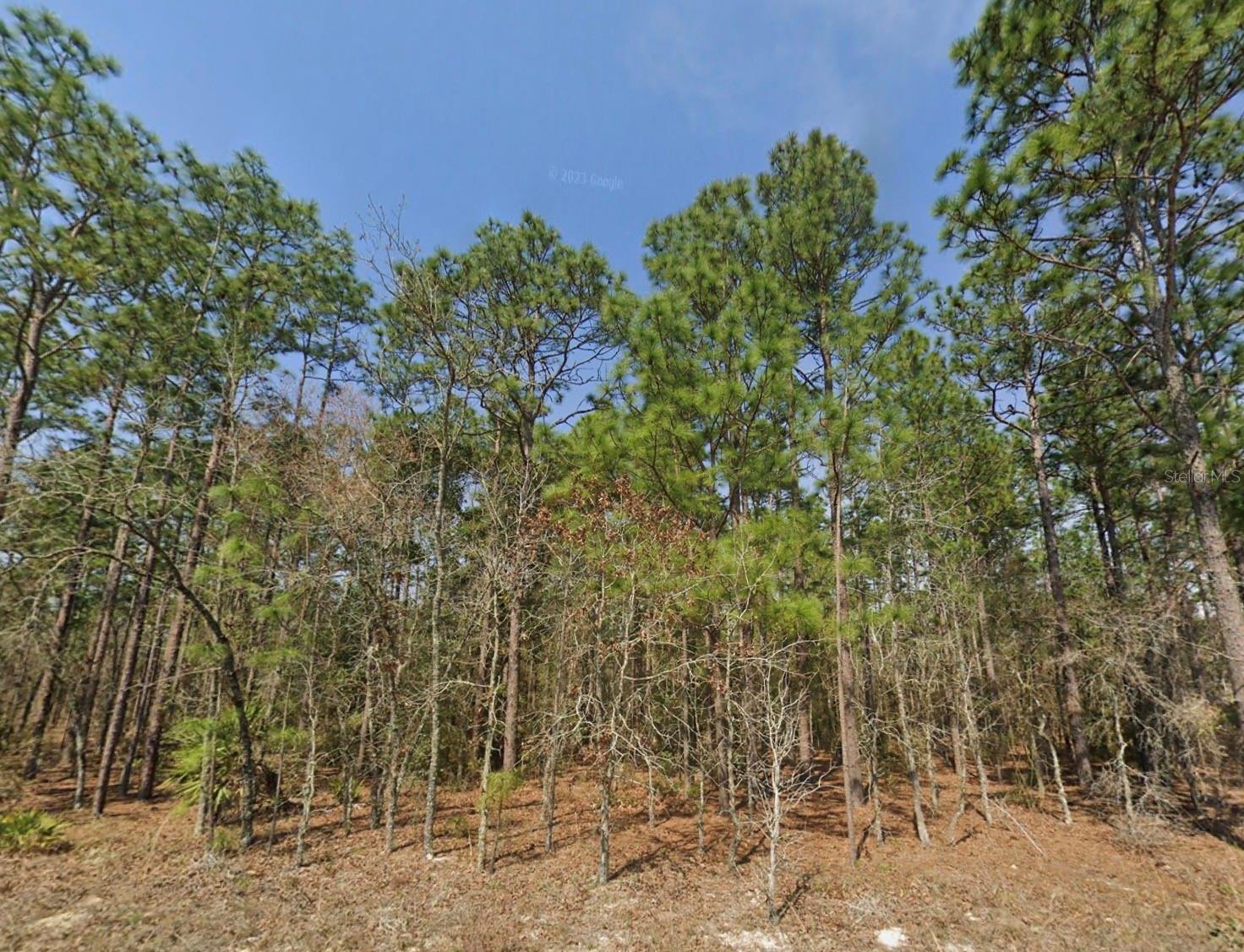 Photo of TBD (Lot 12) SW 128TH TERRACE ROAD OCALA FL 34481