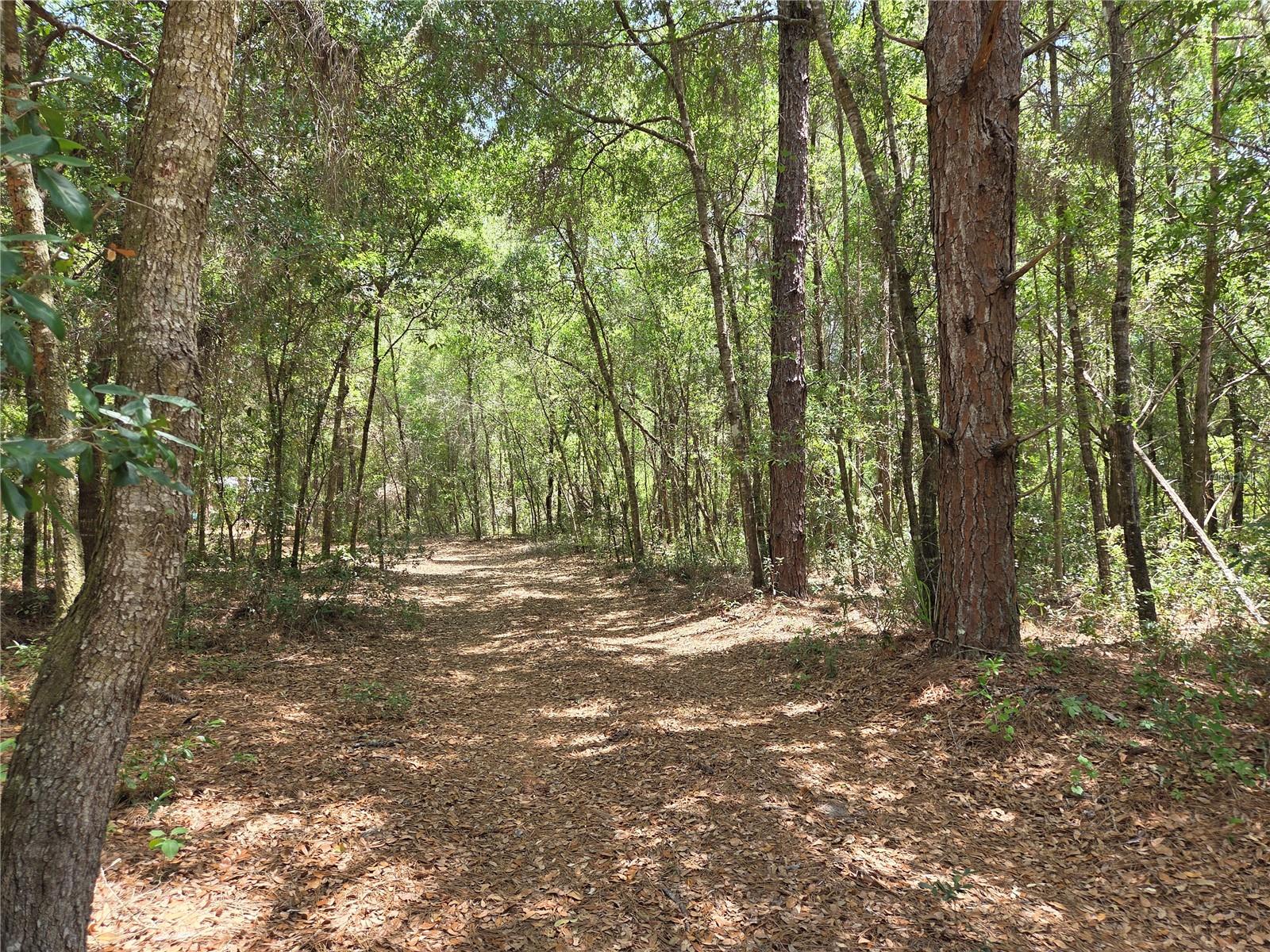 Photo of 11953 N GLENVIEW AVENUE DUNNELLON FL 34434