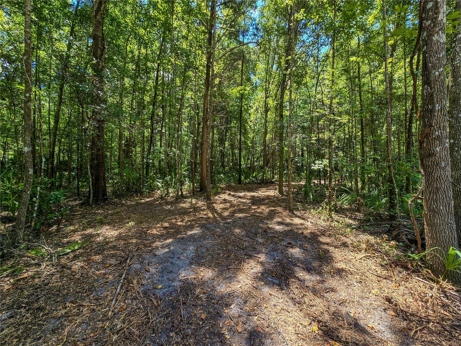 Photo of 2381 N JENNIFER TERRACE INVERNESS FL 34453