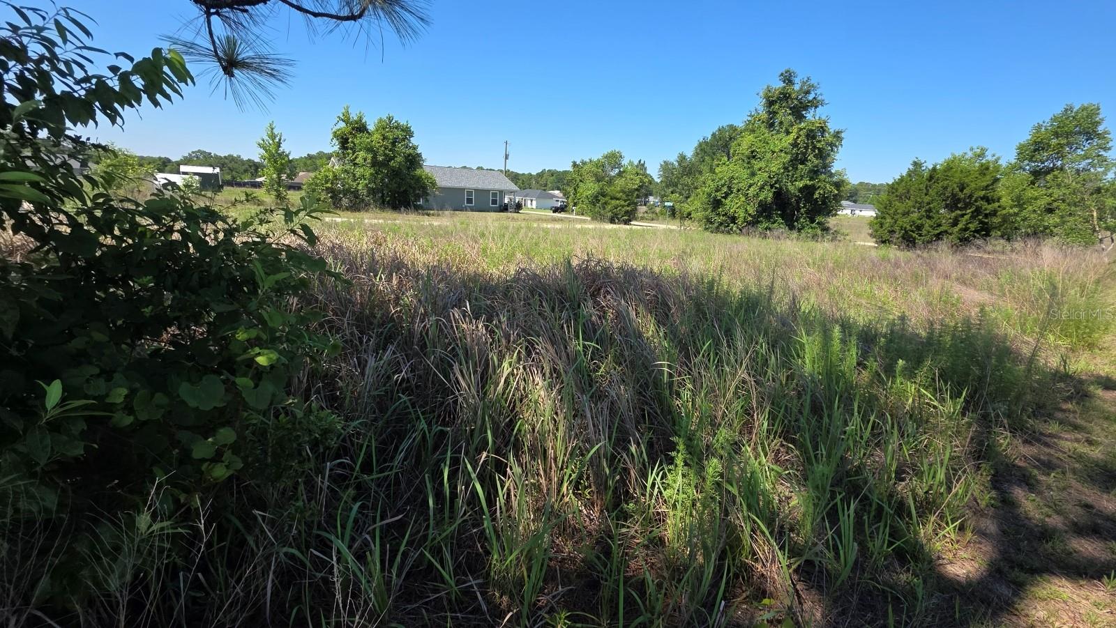 Photo of SW 149TH TERRACE OCALA FL 34481