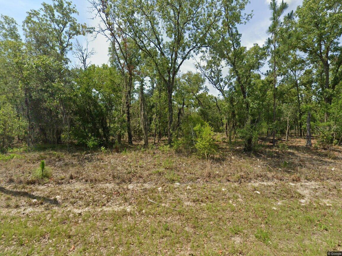 Photo of 1900 W MAGENTA DRIVE DUNNELLON FL 34434