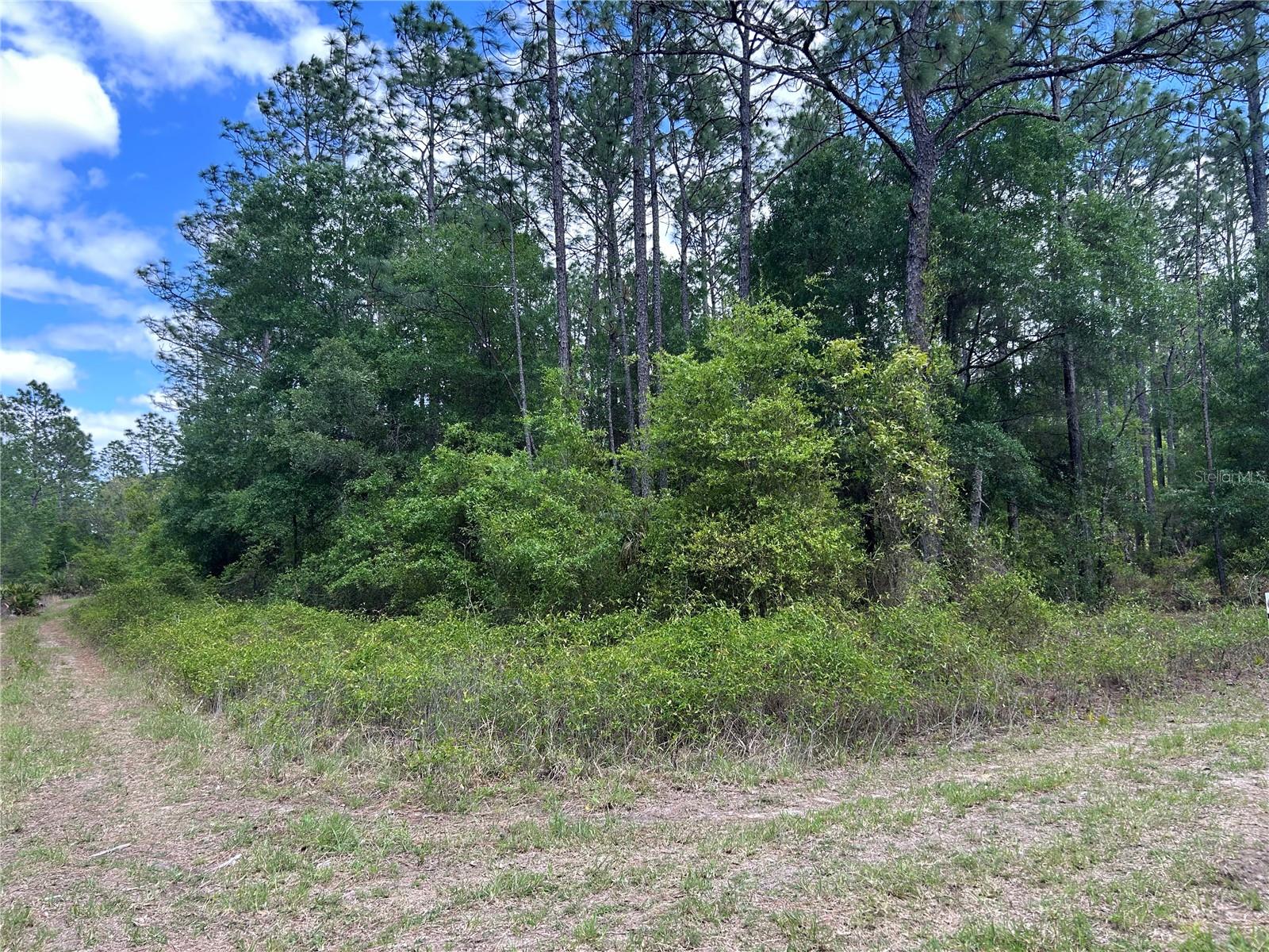 Photo of TBD SW 159TH AVENUE OCALA FL 34481