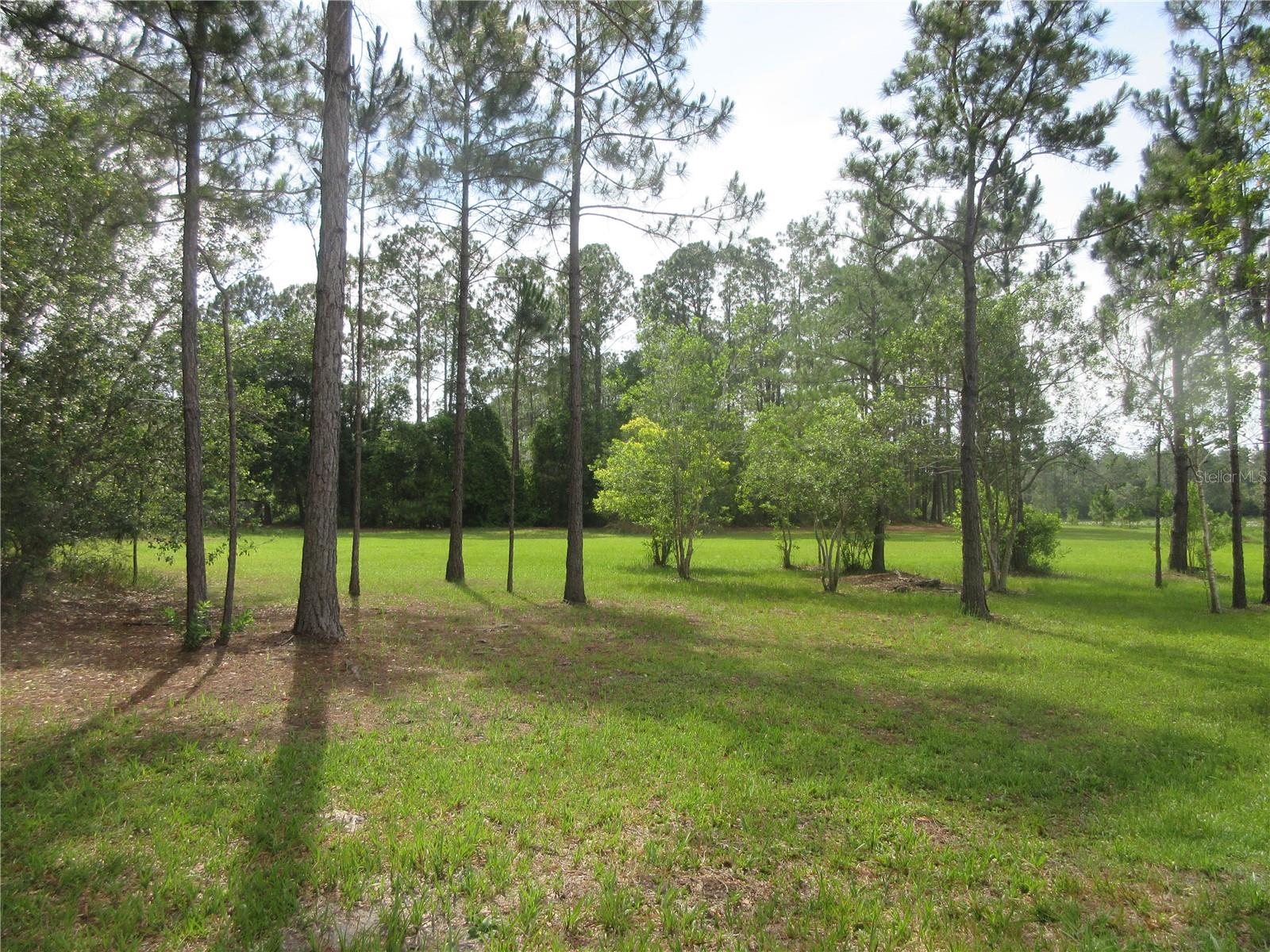 Photo of 0 SE 10TH STREET SILVER SPRINGS FL 34488