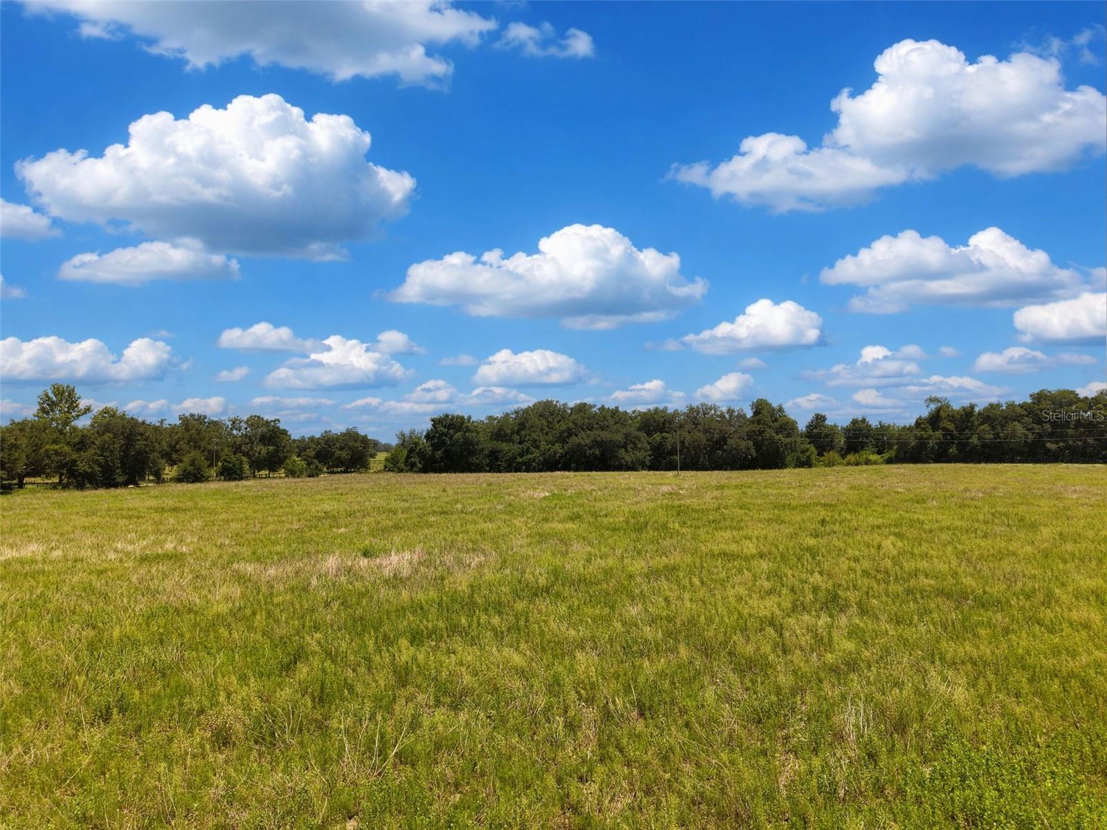 Photo of 000 SE 200 AVENUE MORRISTON FL 32668