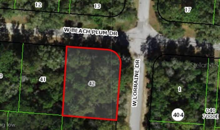 Photo of 1920 W BEACH PLUM DRIVE CITRUS SPRINGS FL 34434