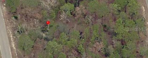 Photo of 23 FISHER LANE TERRACE OCKLAWAHA FL 32179