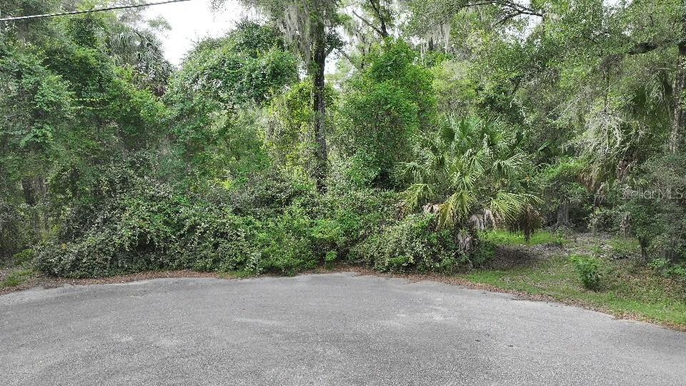 Photo of 18731 SW 79TH PLACE DUNNELLON FL 34432