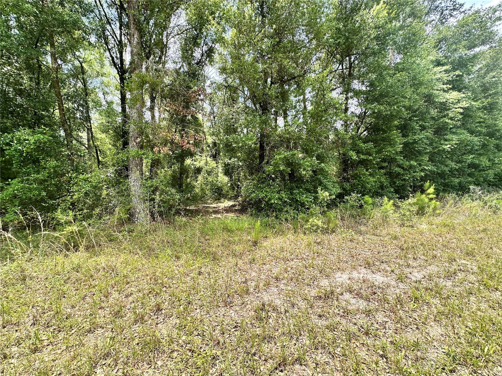 Photo of COUNTY ROAD 349 N. O'BRIEN FL 32071