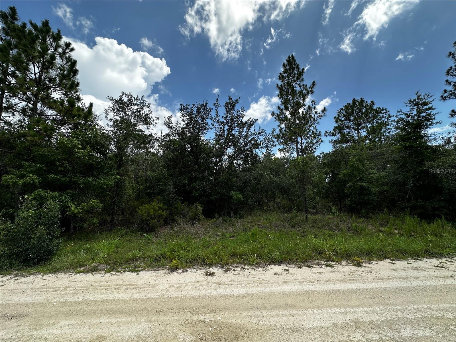 Photo of 12930 NE 15TH STREET WILLISTON FL 32696