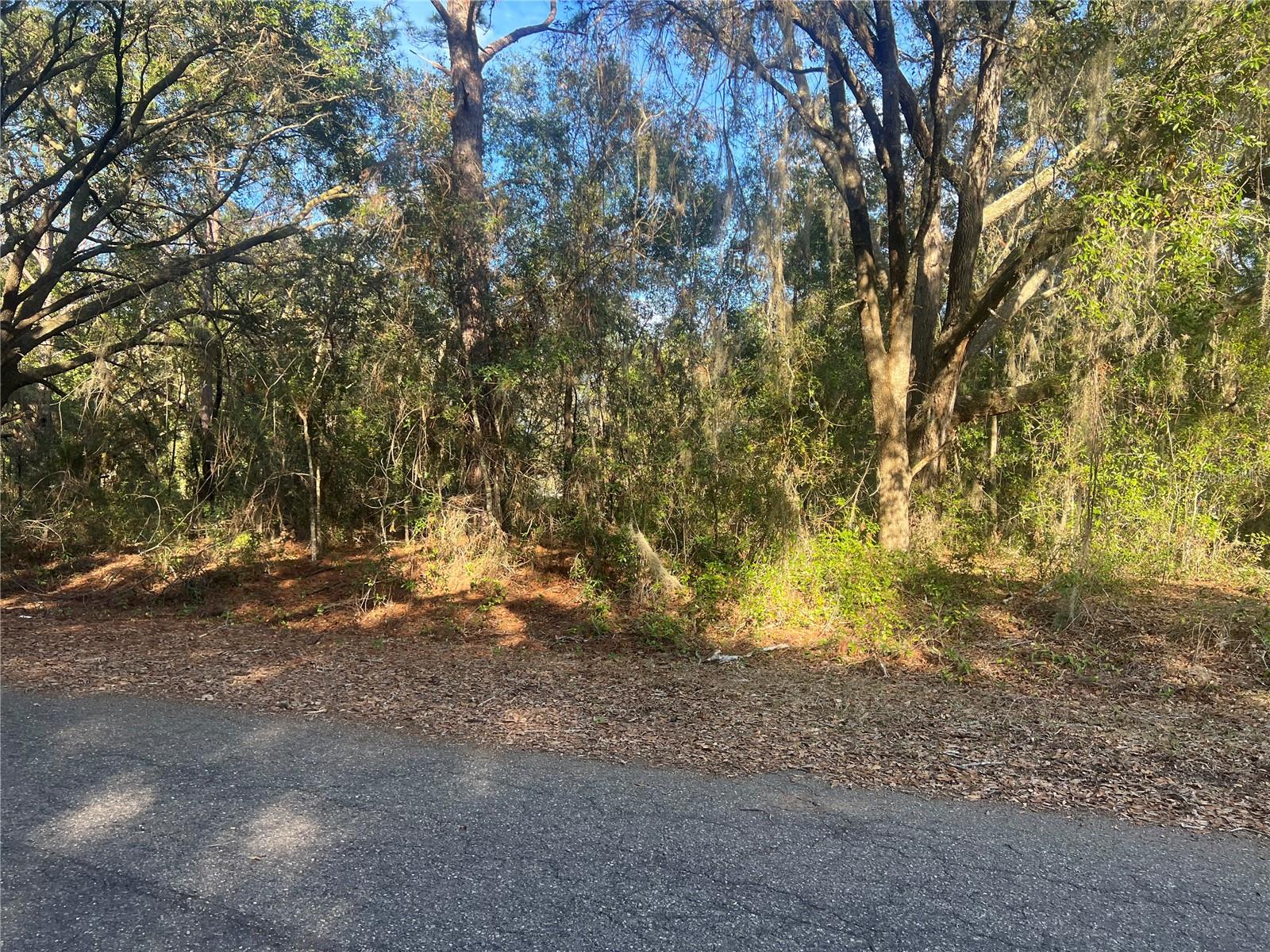 Photo of GUAVA TERRACE OCKLAWAHA FL 32179