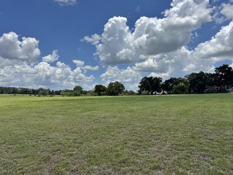 Photo of NW 131 STREET REDDICK FL 32686