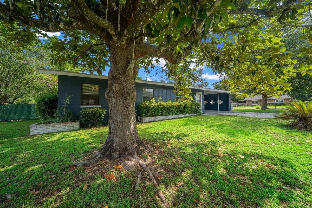 Photo of 4525 NE 9TH STREET OCALA FL 34470